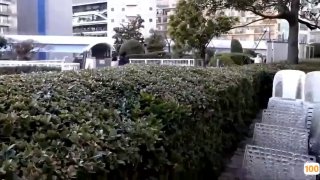 熟女乱2 伦-免费在线观看-日韩中文字幕